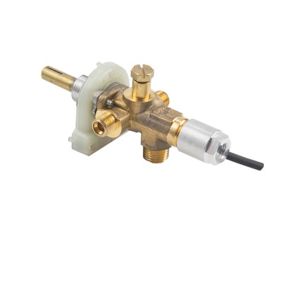 Widney Worcester Gas Valve and Ignition Unit