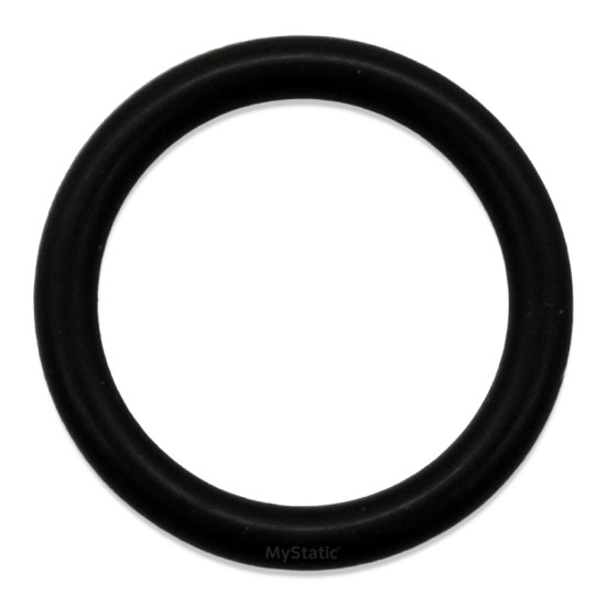 Ariston E-Combi Evo O-Ring 17.86 x 2.62 - 6501246300