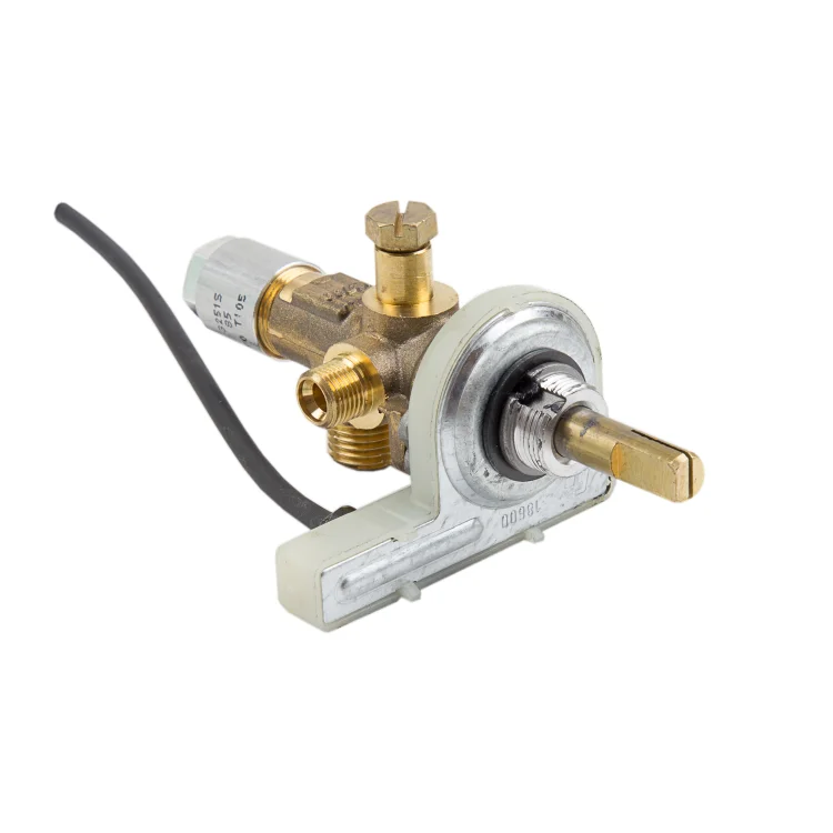 Widney Worcester Gas Valve and Ignition Unit - GV002
