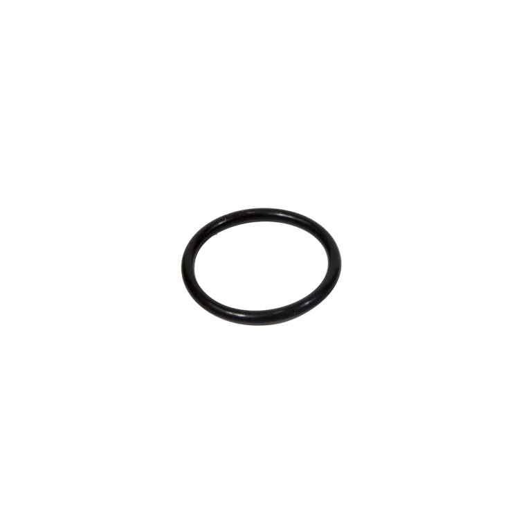 Ariston Next Evo X O-Ring - 65153936