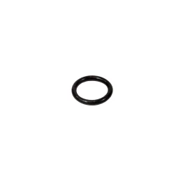 Ariston Next Evo X O-Ring D=20.29 d=2.62 - 65154092