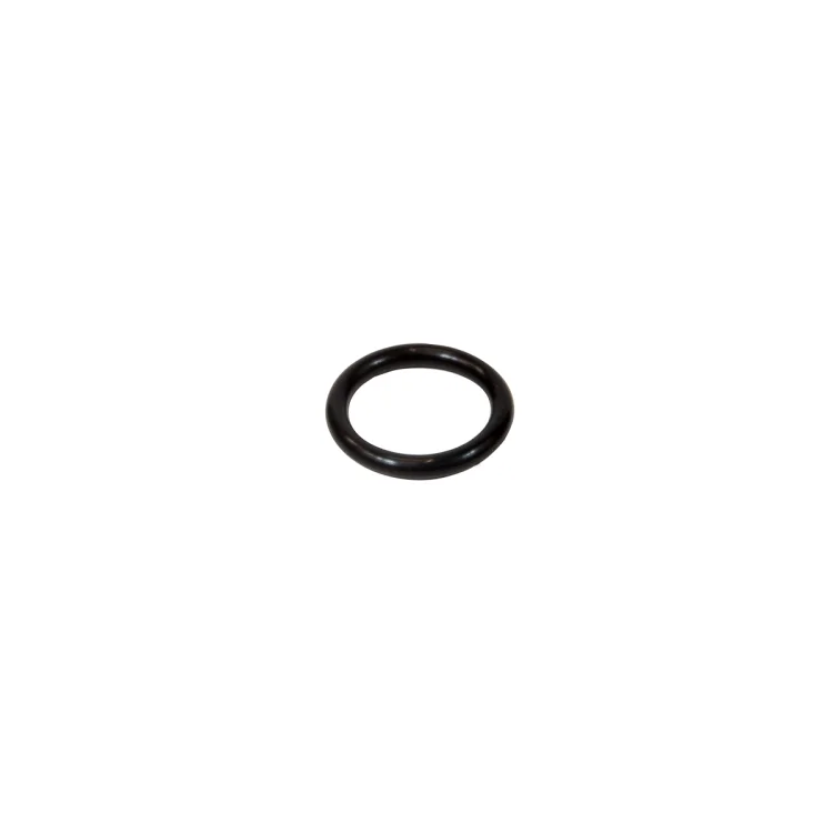 Ariston Next Evo X O-Ring D=20.29 d=2.62 - 65154092