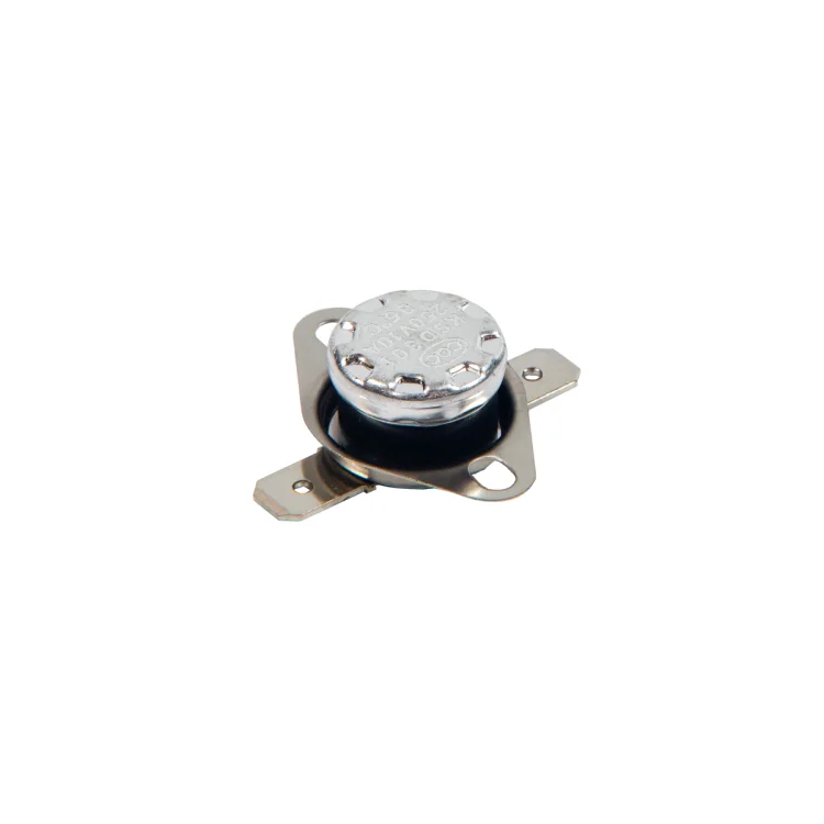 Ferroli Pegaso Eco 11 85°C Temperature Limiter