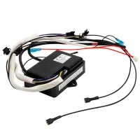 Ferroli Pegaso Eco 11 Pulser Assembly